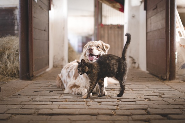 Amigos inesperados